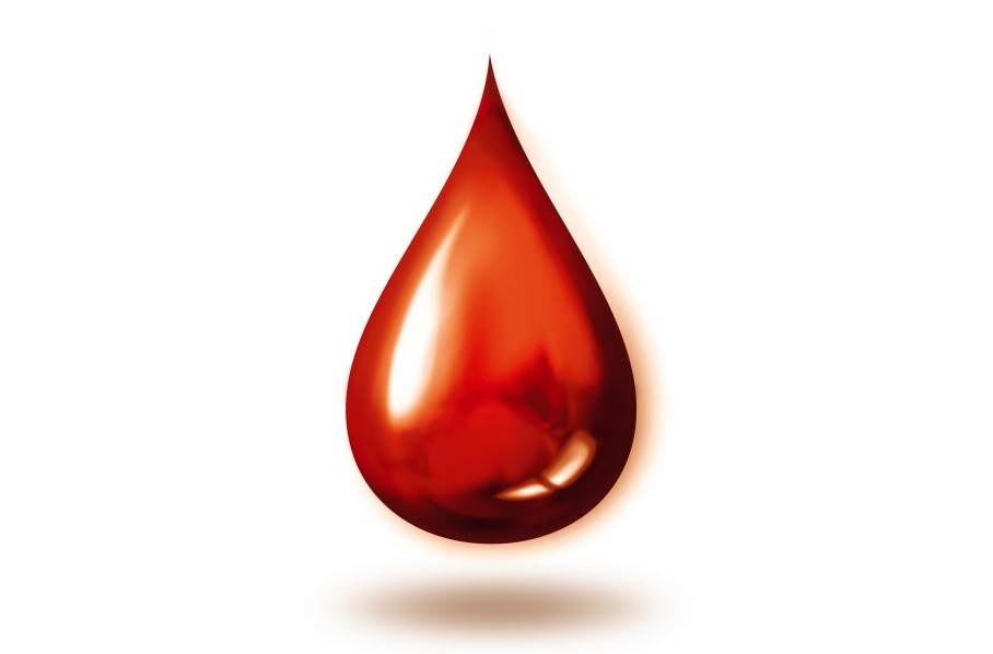 Representante; Doação De Sangue; Campanha; Doe Sangue, Salve Vidas; Salve Vidas; Fortaleza; HEMOCE