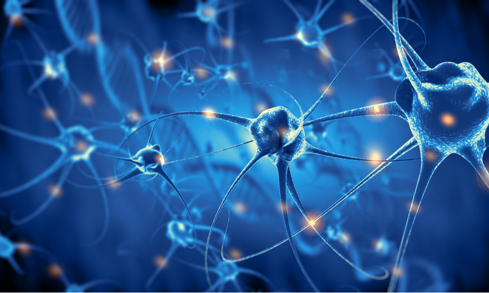 Sintomas Da Neuropatia Periférica; Neuropatia Periférica Induzida Pela Quimioterapia; Neuropatia Periférica E álcool; Neuropatia Periférica Como Se Trata; Neuropatia Periférica Como Prevenir; Neuropatia Periferica; Câncer; Linfoma; Leucemia; Mieoloma Mieoloma; Quimioterapia; Diagóstico