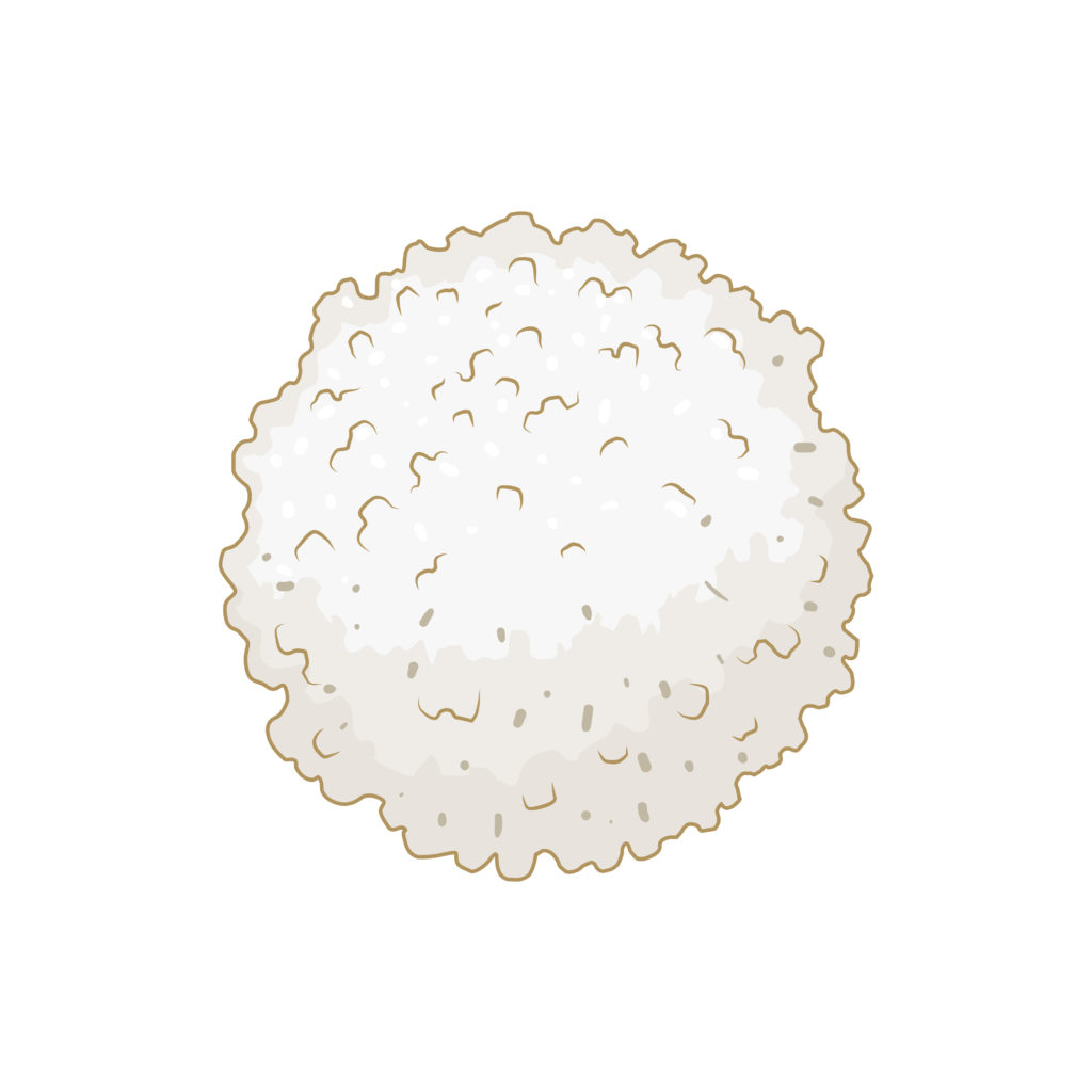 Células sanguíneas o que são e