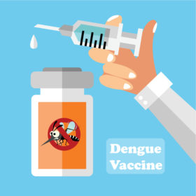 dengue, sintomas de dengue, mosquito da dengue, dengue sintomas, sintomas dengue, tratamento da dengue, dengue tratamento, quais os sintomas da dengue, dengue sintomas iniciais, prevenção da dengue, prevenção da dengue, manchas de dengue, dengue sintomas e tratamento, tipos de dengue, dengue prevenção, o que é dengue, sintomas da dengue hemorrágica, como prevenir a dengue, como prevenir a dengue, tratamento dengue, sintomas de dengue hemorrágica, transmissão da dengue, quantos dias dura a dengue, vírus da dengue , causas da dengue, como é transmitida a dengue, dengue agente causador, dengue tem cura dengue diagnostico, qual o tratamento para dengue, supressão da medula óssea, como tratar a dengue, fui picado pelo mosquito da dengue o que fazer, dengue pega, como se pega dengue, manchas roxas pelo corpo, como pega dengue, como curar a dengue, como pegar dengue, dengue tempo de cura, dengue tem cura?, vacina dengue, vacina contra dengue, vacina da dengue, vacina para dengue, existe vacina contra dengue