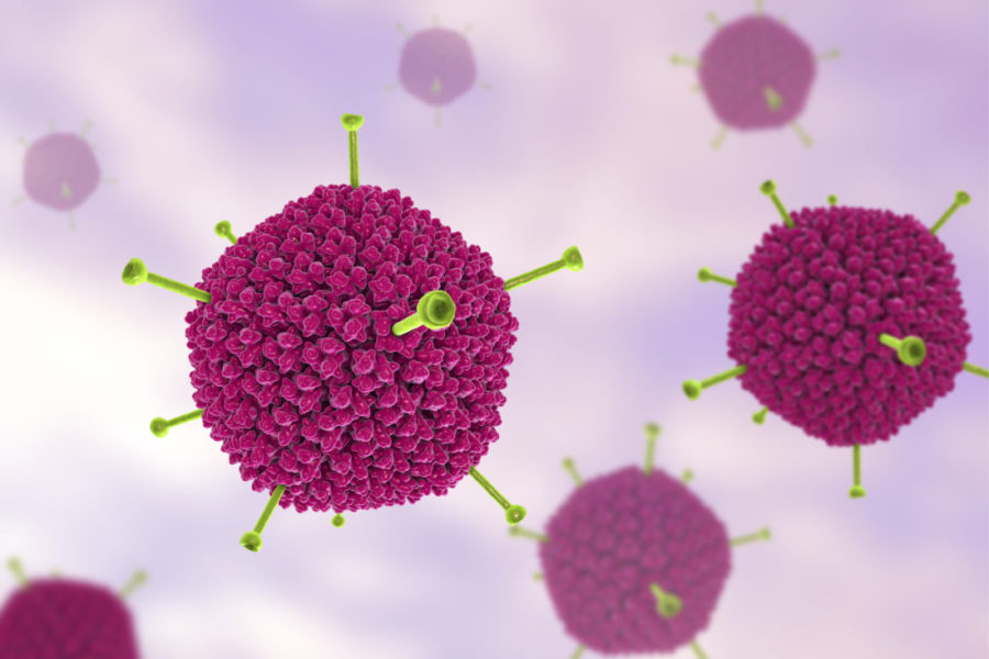 Vacina Contra Coronavírus, Vacina Do Coronavirus, Vacina Para Coronavirus, Vacina Contra O Coronavirus, Vacina Contra O Coronavírus, Vacina Do Coronavírus, Vacina Para Coronavírus, Vacina De Oxford, Tipos De Vacinas, Tipos De Vacina, Virus Atenuado, Vacina Contra Coronavirus Oxford, Como Funciona A Vacina, Como Funcionam As Vacinas, Tipos De Vacinas Inativadas, Como As Vacinas Agem No Organismo, Vírus Atenuado, Quais Os Tipos De Vacinas, Vacinas De Virus Vivo, Virus Vivo Atenuado, Composição Das Vacinas , Adenovirus O Que é, Vacina De Oxford Funciona , Como Funciona Uma Vacina , Mecanismo De Ação Das Vacinas, Quais As Etapas Desse Tipo De Atendimento Sac, Vacinas Com Virus Atenuado, Virus Inativado, Vacina Atenuada E Inativada, Mecanismo De Ação Da Vacina, Virus Adenovirus, Vacinas Com Virus Vivo, Função Da Vacina, O Que é Virus Atenuado, Vacinas Como Funcionam, Vacina Covid, Rna Mensageiro, Vacina Pfizer, Virus Rna, Entenda O Coronavirus, Coronavac, Vacina Coronavac, Vacina Coronavirus, Coronavirus Vacina, Vacina Coronavírus Vacina Para O Coronavirus, Vacina Contra Covid, Corona Virus Vacina, Vacina Do Covid, Vacinas Coronavírus, Coronavírus Vacinas, Vacina Contra O Covid 19, Vacinas Contra, Coronavirus, Vacina Contra Corona Virus, Oms Vacina, Vacina Contra Corona, Vacina Para O Coronavírus, Vacinas Contra Coronavírus, Vacina Do Corona Virus, Coronavirus Vacinas, Vacina De Coronavirus, Oms Vacina Coronavirus, Vacina Contra O Corona Virus, Vacina Para Corona Virus, Previsão Vacina Covid, Vacina Covid Brasil Previsão, Vacinas Contra Covid, O Coronavirus, Quando A Vacina Contra O Coronavirus Vai Estar Pronta No Brasil, Quando Vai Sair, A Vacina Do Coronavirus, Quando A Vacina Contra O Coronavirus Vai Estar Pronta, Pessoas Com Câncer Pode Tomar Vacina Da Gripe, Quem Tem Câncer Pode Tomar Vacina Da Febre Amarela, Paciente Oncológico Pode Tomar A Vacina Da Gripe, O Que é Paciente Oncológico, Paciente Oncológico, Imunossuprimidos, Imunossuprimidos Quem São, Pessoas Com Cancer, Quem Faz Quimioterapia, Cancer Hematologico, Cuidados Com Pacientes Em Uso De Quimioterapia, Paciente Imunossuprimido, Paciente Imunodeprimido, Vacina Cancer, Vacina Causa Cancer, Vacina Genetica