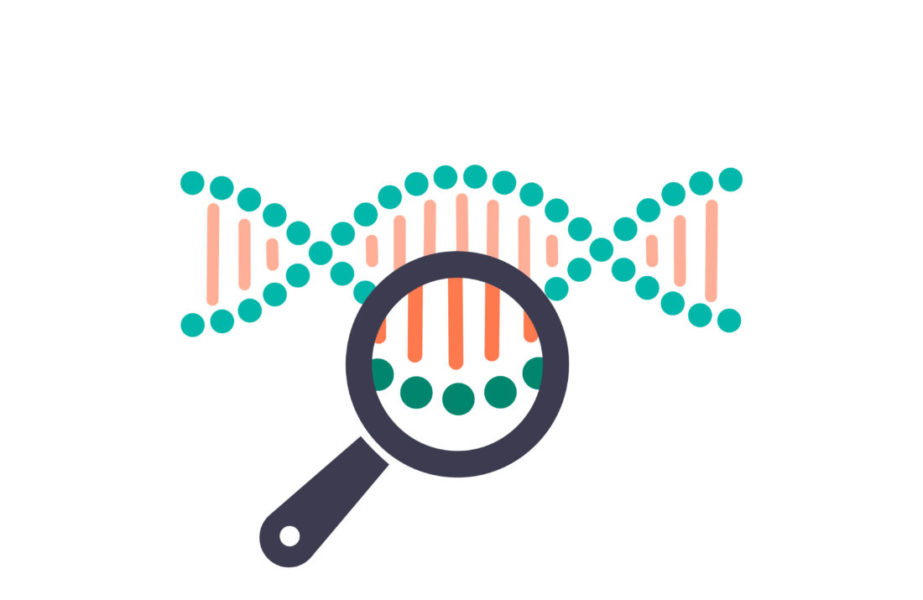 Análise Para Detectar Mutações Genéticas E Determinar O Estadiamento Do Mieloma Múltiplo