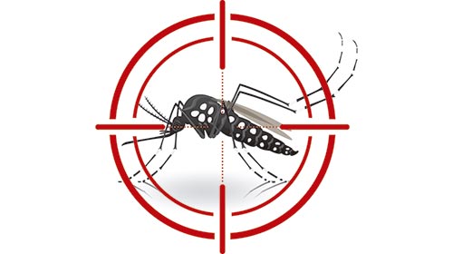 Teste Para Descobrir Se A Pessoa Está Com Dengue