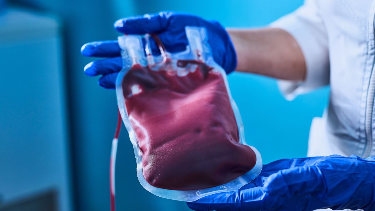 transfusão de sangue